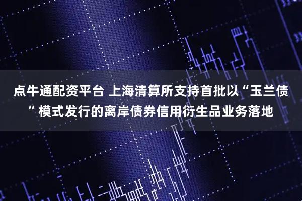 点牛通配资平台 上海清算所支持首批以“玉兰债”模式发行的离岸债券信用衍生品业务落地